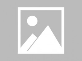 失踪人员：党珊珊